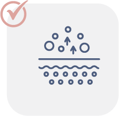 icono 5